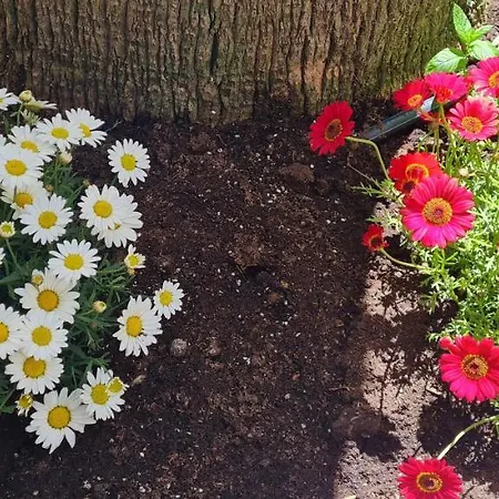 Gerys House דירה